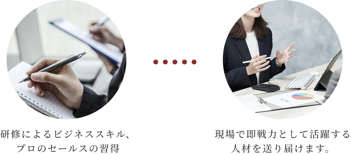 プロフェッショナル人材